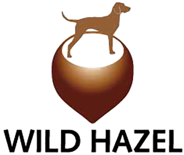 WILD HAZEL