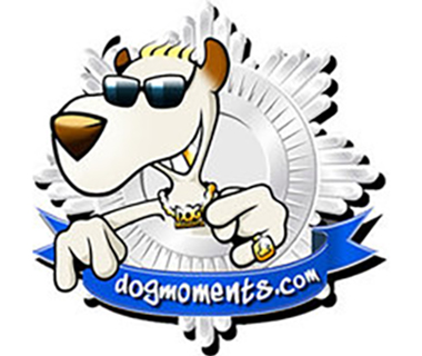 DogMoments